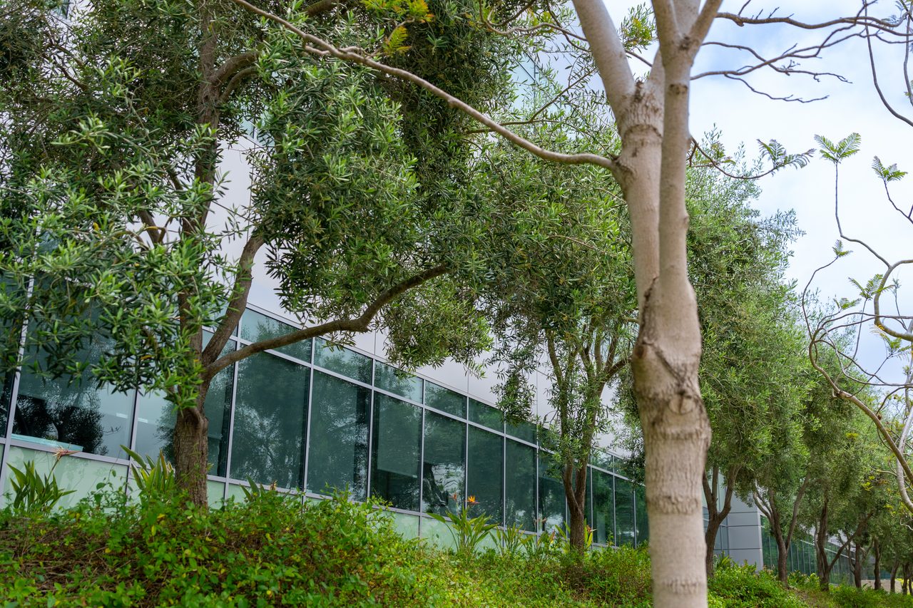Discovery Corporate Center D image 5
