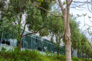 Discovery Corporate Center D thumbnail 5